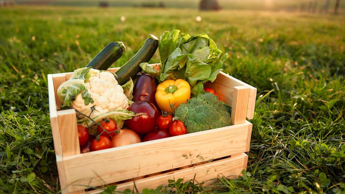 Crestmont School Spring CSA